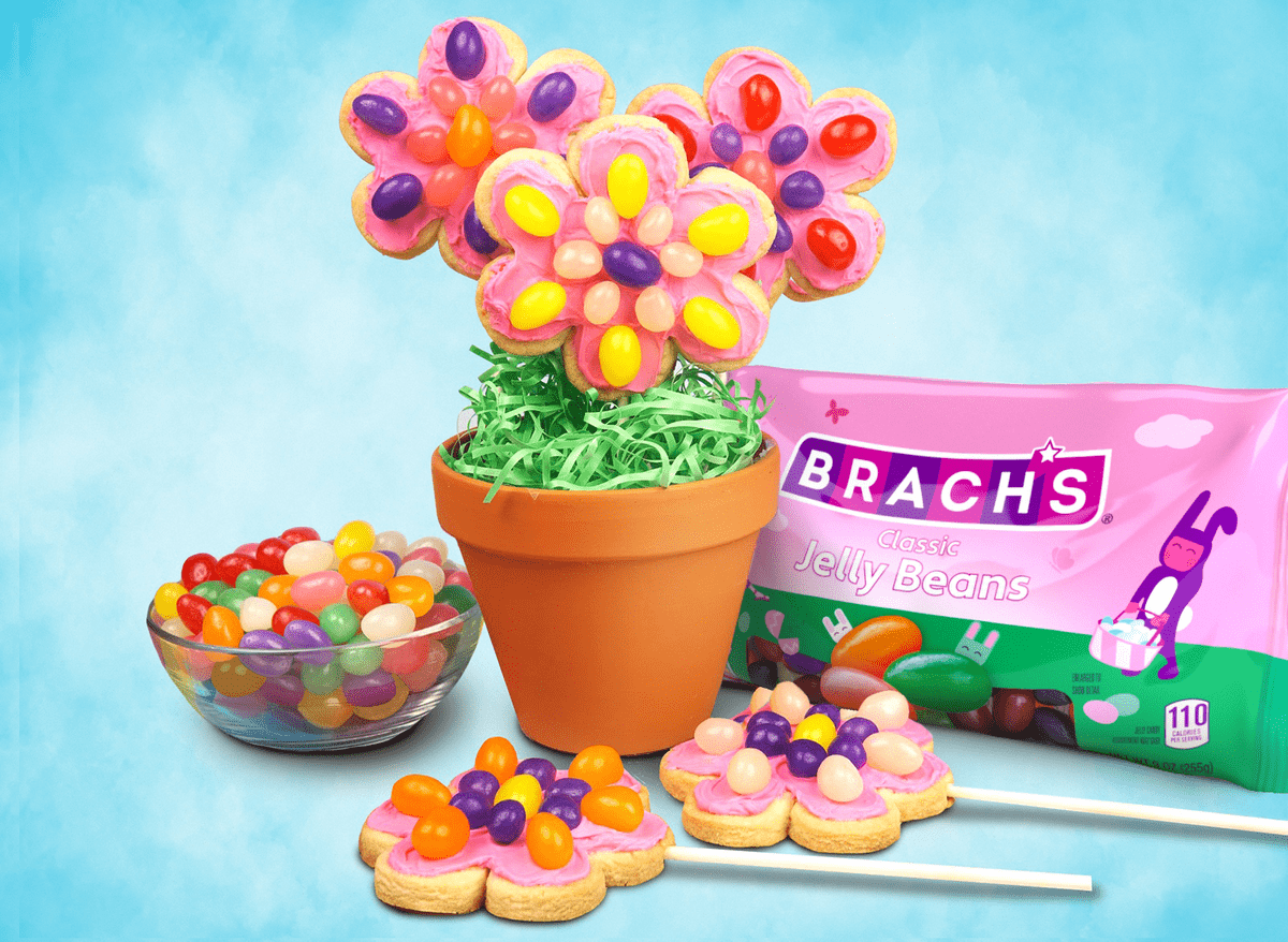 Brachs-Classic-Jelly-Beans-Cookie-Lollipop